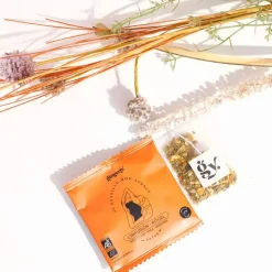 Fabrique de Styles Boîte de 12 sachets d'infusion rituel Je réveille mon audace* Cafés, Thés Et Infusions