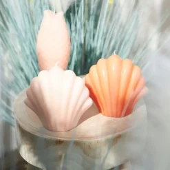 Fabrique de Styles Bougie Saint-Jacques 10h - Bord De Mer* Bougies Parfumées