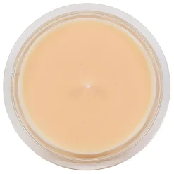 Fabrique de Styles Bougie senteur melon 220g - Bougie Gourmande* Bougies Parfumées