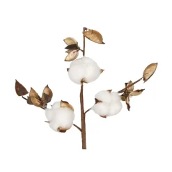 Fabrique de Styles Branche de coton* Fleurs Séchées
