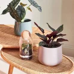 Fabrique de Styles Cache pot en céramique d13.5cm* Cache-pots Et Supports