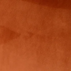 Fabrique de Styles Chaise de salle à manger en velours - Ben* Chaises