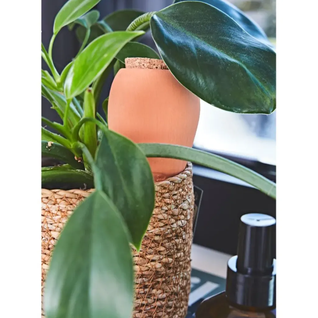 Fabrique de Styles Diffuseur d'eau en argile 25cl - Olla* Accessoires