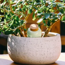 Fabrique de Styles Diffuseur d'eau en argile 25cl - Olla* Accessoires