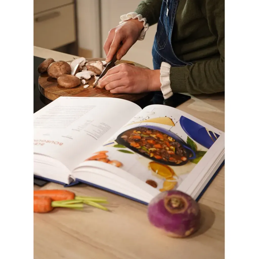 Fabrique de Styles Livre de 200 recettes pour la Fabuleuse* Livres