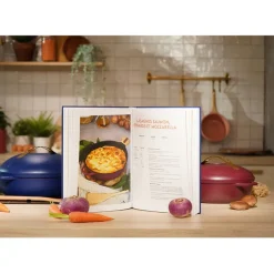 Fabrique de Styles Livre de 200 recettes pour la Fabuleuse* Livres