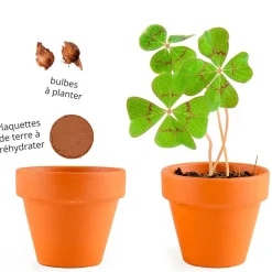 Fabrique de Styles Mini kit d6cm terre cuite trèfle 4 feuilles* Prêt À Pousser