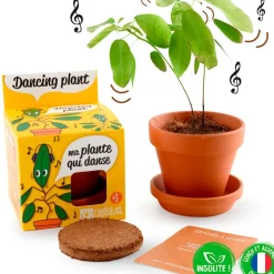 Fabrique de Styles Pot d8cm avec coupelle plante qui danse* Prêt À Pousser