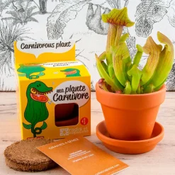 Fabrique de Styles Pot d8cm avec coupelle plantes carnivores* Prêt À Pousser