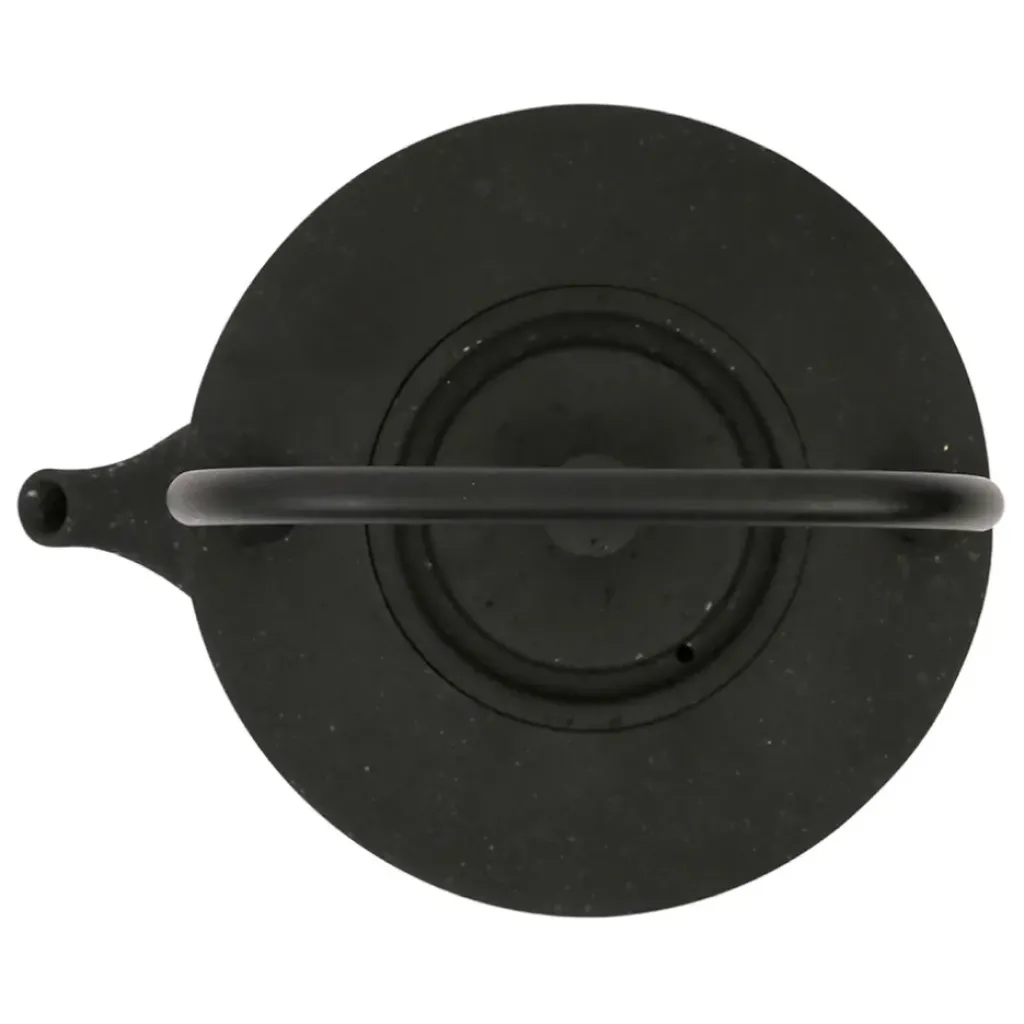 Fabrique de Styles Théière en fonte avec filtre inox - Arty* Théières Et Cafetières