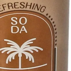 Fabrique de Styles Vase bouteille de soda en faïence h24cm* Vases Et Soliflores